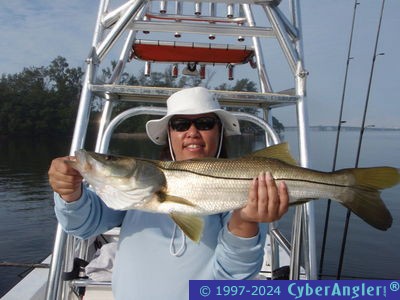 Click to Enlarge Photo