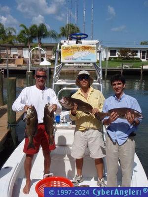 Click to Enlarge Photo