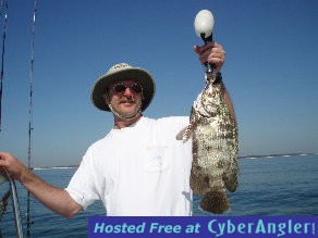 tripletail