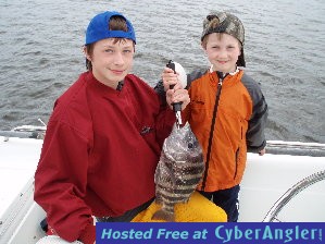sheepshead