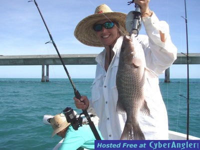 Click to Enlarge Photo