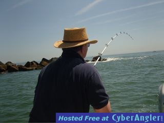 Click to Enlarge Photo