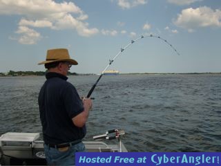 Click to Enlarge Photo