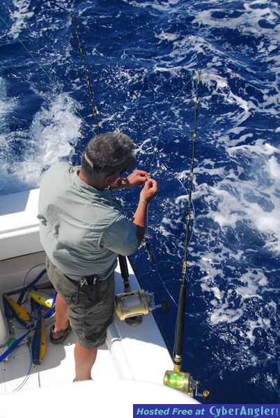 Chub Cay - May 2009