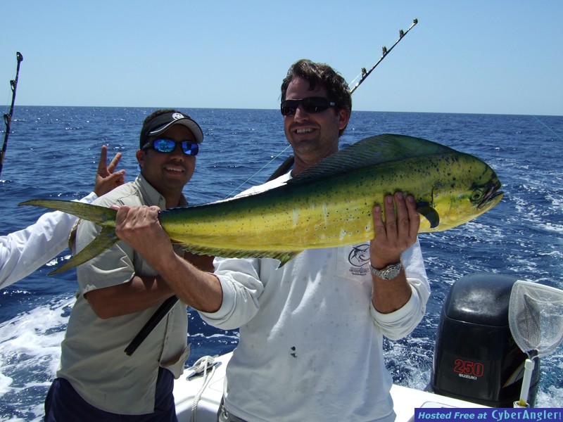 Chub Cay - May 2009