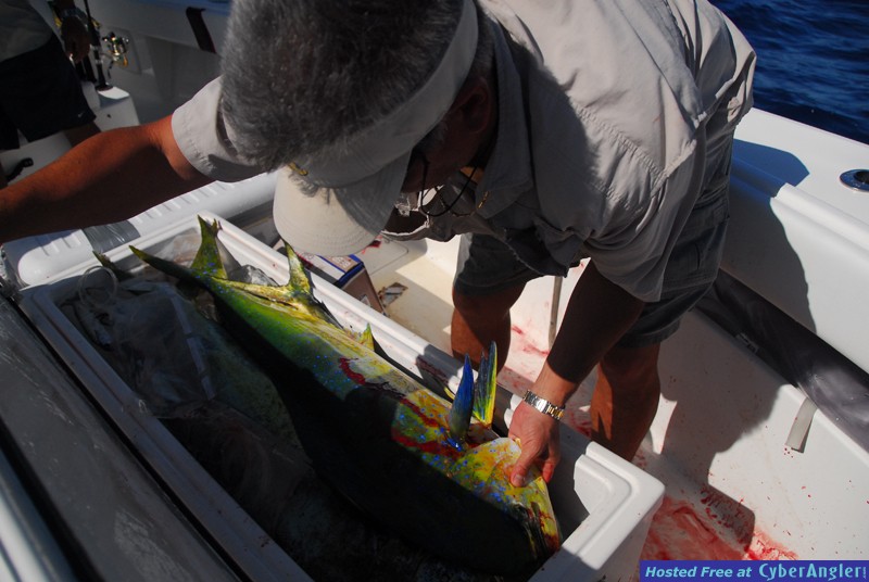 Chub Cay - May 2009