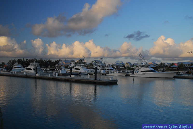 Chub Cay - May 2009