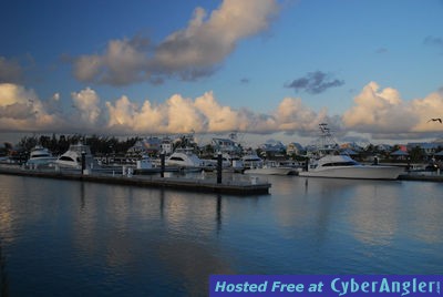 Chub Cay - May 2009