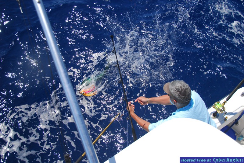 Chub Cay - May 2009