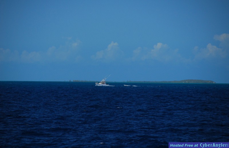 Chub Cay - May 2009