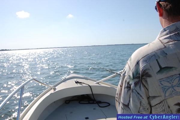 Tarpon On!!