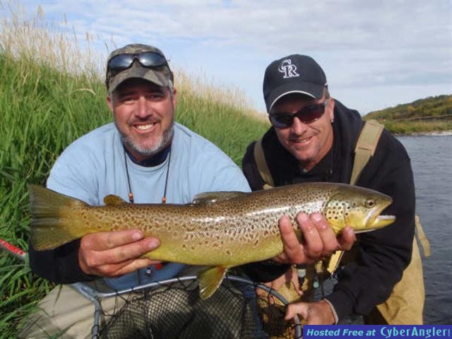 Big Brown!