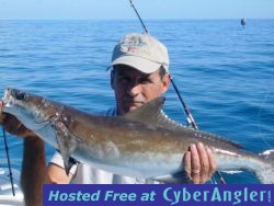 Click to Enlarge Photo