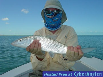 Bob Reynold's Andros South bonefish