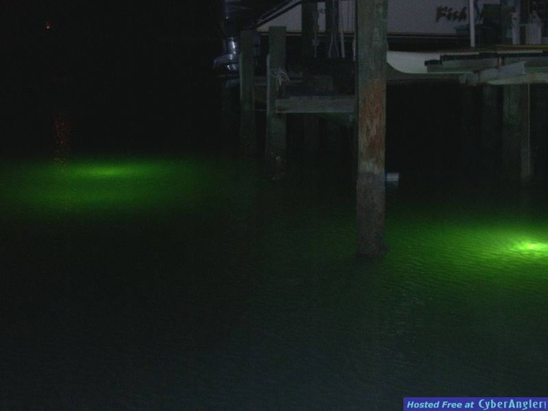 Bull_Red_Dock_Lights_0021