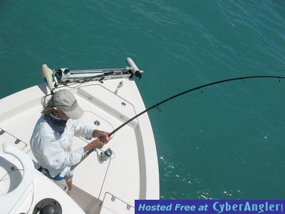 Click to Enlarge Photo