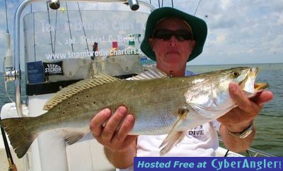 Click to Enlarge Photo