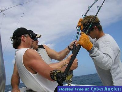 Click to Enlarge Photo