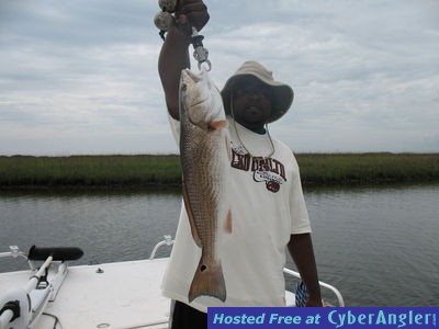 Click to Enlarge Photo