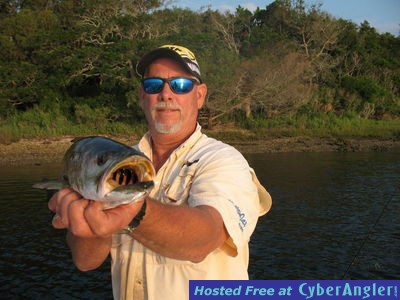 Click to Enlarge Photo