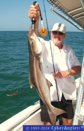 Jay Allan's Nice Cobia