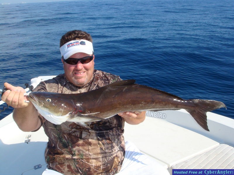 Cobia yummy!!!