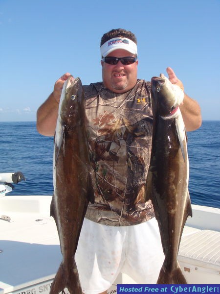 More Cobia!!