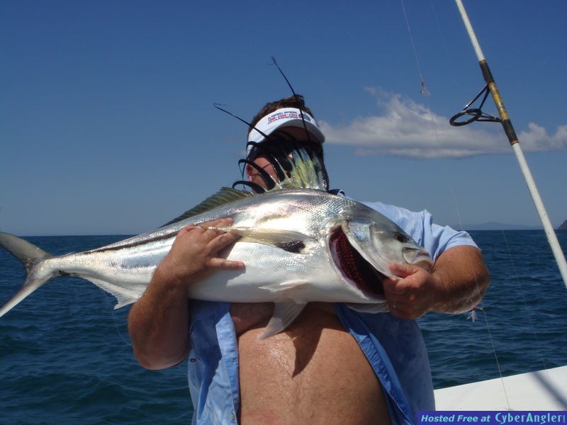 Roosterfish Costa Rica