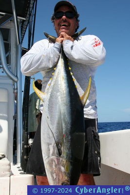 Yellowfin Tuna in the Bahamas