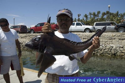 Click to Enlarge Photo