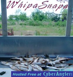 whipasnapa_2009_032