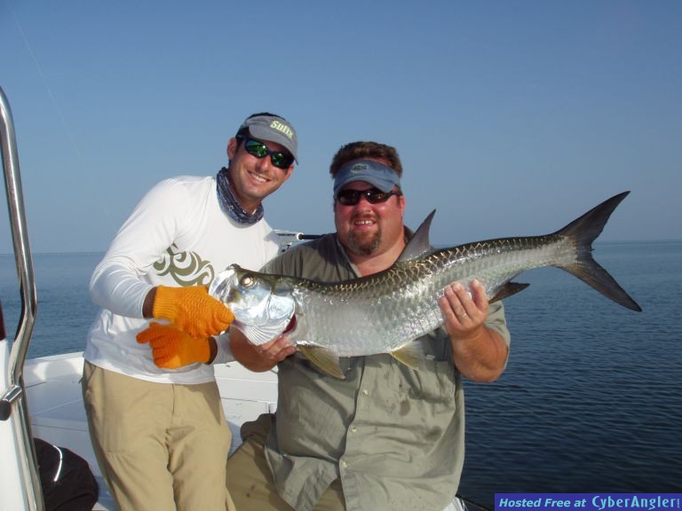 Baby tarpon Islamorada FL.