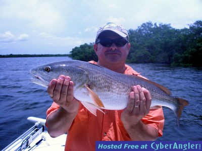 A fat Matlacha Pass redfish caught wit Captain Bill Russell