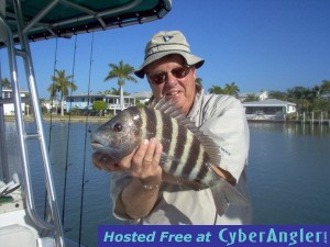 19 inch sheepshead