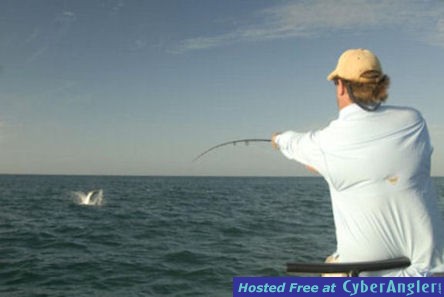 Hal Lutz fly tarpon jump