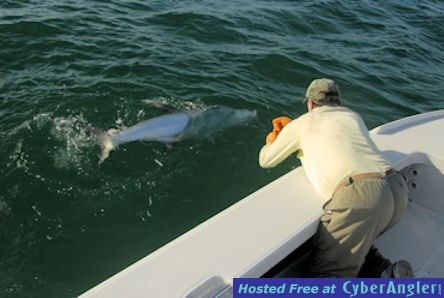 Capt. Rick Grassett landing tarpon