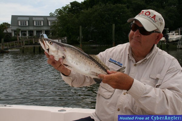Fat Trout from Georgia