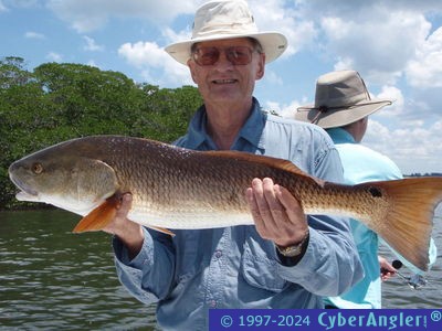 Click to Enlarge Photo