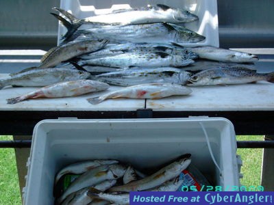 Click to Enlarge Photo