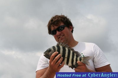 Sheepshead