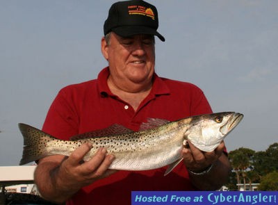 Gator Sea Trout