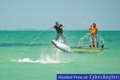 Joe-fly-tarpon-jump